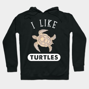 I Like Turtles Hoodie